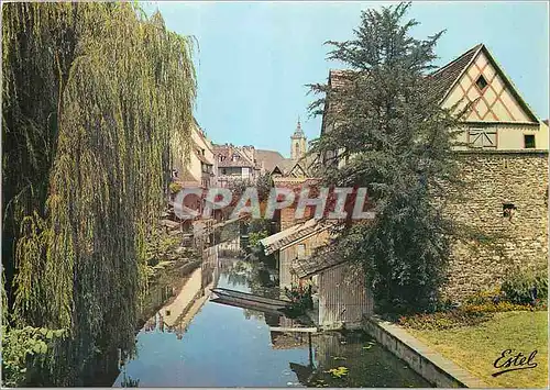 Cartes postales moderne Colmar (Haut Rhin) Au Pays des Cigognes Vue sur la Lauch au fond le Clocher de l'Eglise Saint Ma