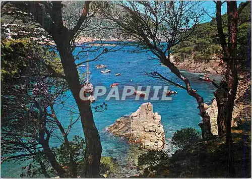 Cartes postales moderne Costa Brava Cala de Aiguablava