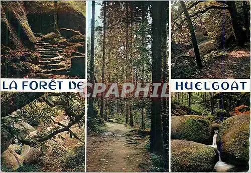 Cartes postales moderne La Foret de Huelgoat La Bretagne en Couleurs La Grotte d'Arthus La Mare aux Sangliers
