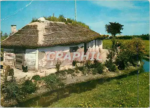 Cartes postales moderne Au Pays de Monts Bourrine Vendeenne