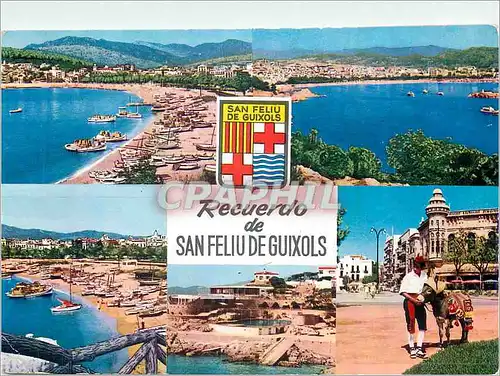 Cartes postales moderne Recuerdo de San Feliu de Guixols Costa Brava Ane Donkey