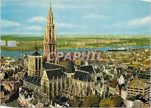 Cartes postales moderne Anvers Cathedrale et l'Escaut