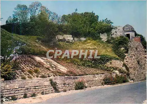 Cartes postales moderne Brouage (Char Mar) Ville Fortifiee du XVIIe S Les Armes de Brouage