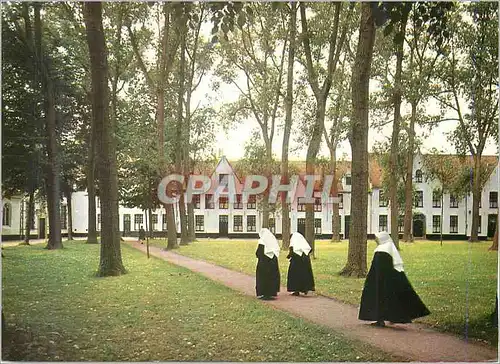 Cartes postales moderne Brugge Cour Interieur du Beguinage
