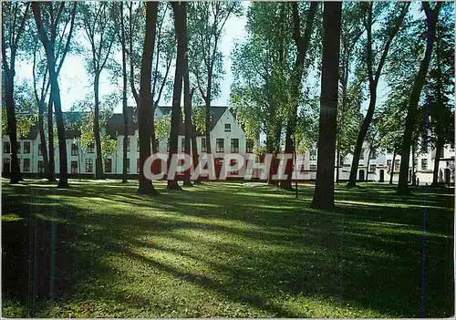 Cartes postales moderne Brugge Cour Interieur du Beguinage