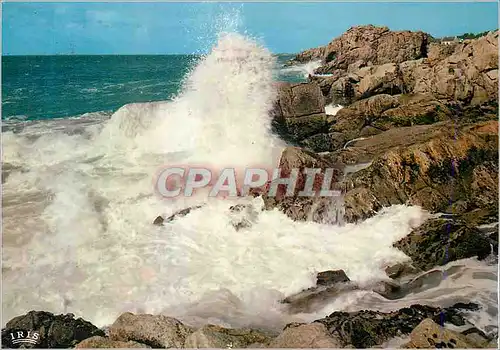 Cartes postales moderne Sable d'Olonne Grosse Vague