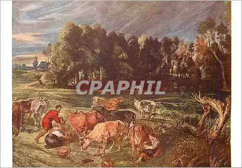 Cartes postales moderne Munchen Peter Paul Rubens 1577 1640 Polder avec Vaches