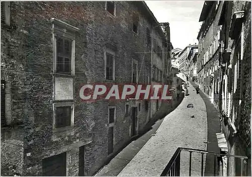 Cartes postales moderne Urbino Maison et Quartier Raffaello