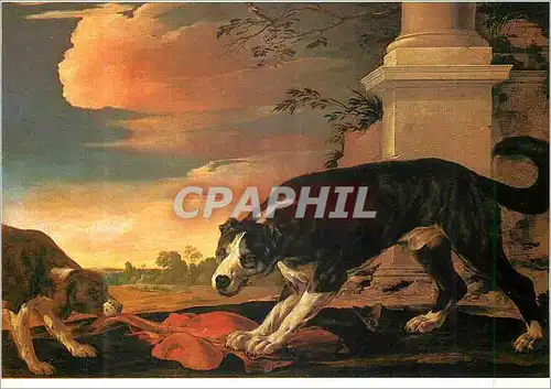 Cartes postales moderne Musee d'Arras Laurent de la Hyre Chien Gardant sa Proie