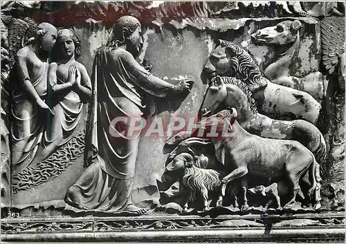 Cartes postales moderne Orvieto Duomo la creazione Deglt Animalt