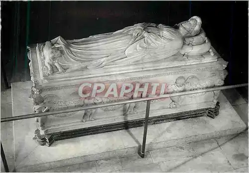 Cartes postales moderne Lucca Sarcofago di Ilario Carretto