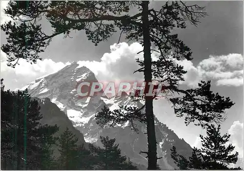 Cartes postales moderne Dolomiti Cortina Monte Antelao