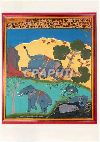 Moderne Karte Four Elephants Elephant