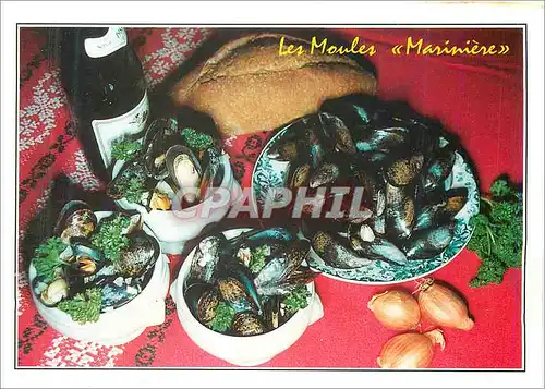 Cartes postales moderne Les Moules Mariniere Les Bonnes Recettes de Chez nous