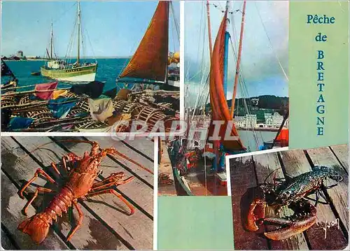 Moderne Karte Peche de Bretagne Couleurs et Lumiere de France Bateaux de peche Homard Langouste