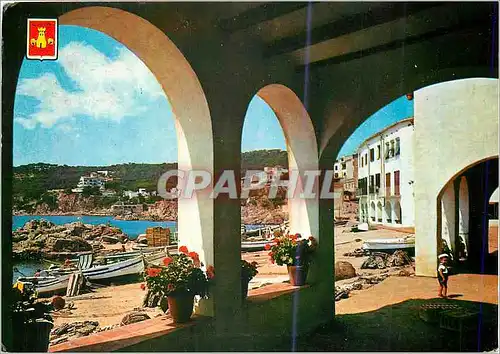 Cartes postales moderne Calella de Palafrugell Vue Partielle