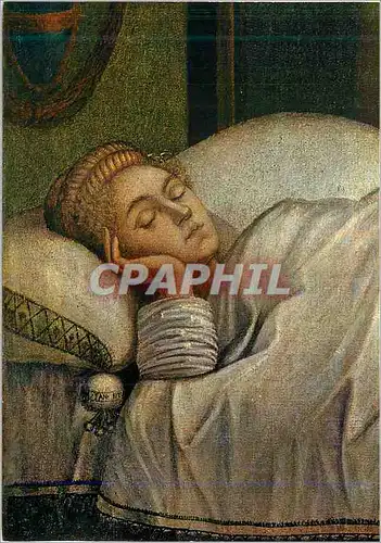 Cartes postales moderne Venezia Gallerie dell'Accademia Vittore Carpaccio