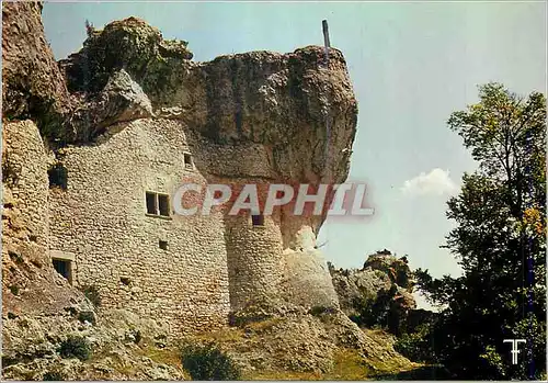 Cartes postales moderne Causse du Larzac Maison Troglodyte des Baumes pres de Saint Martin du Lorzac