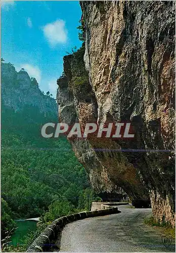 Cartes postales moderne En Parcourant les Gorges du Tarn La Route Longeant le Tarn