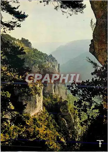 Cartes postales moderne Causse Mejean Corniche sur le Tarn pres de la Bourgarie
