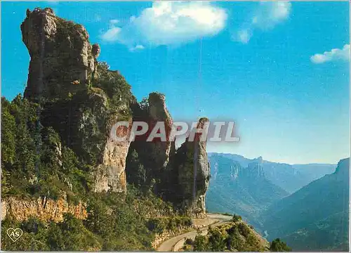Cartes postales moderne En Parcourant les Gorges du Tarn Aux Environs des Vignes Echappee sur la Vallee du Tarn