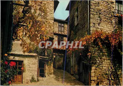 Cartes postales moderne Sainte Enimie (Lozere) altitude 470 m Vieille Rue