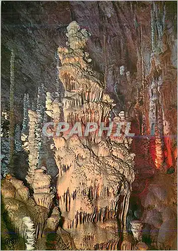 Cartes postales moderne En Parcourant les Gorges du Tarn Grotte de l'Aven Armand Le Canard