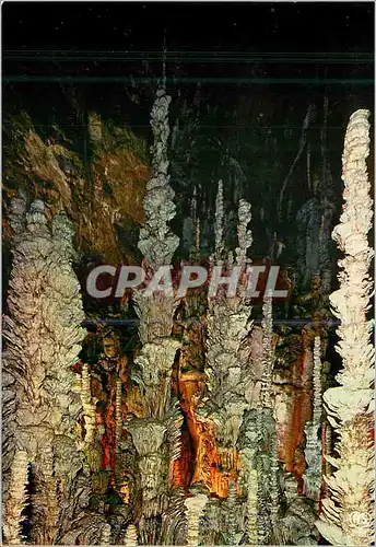Cartes postales moderne En Parcourant les Gorges du Tarn Grotte de l'Aven Armand Grandes Stalagmites
