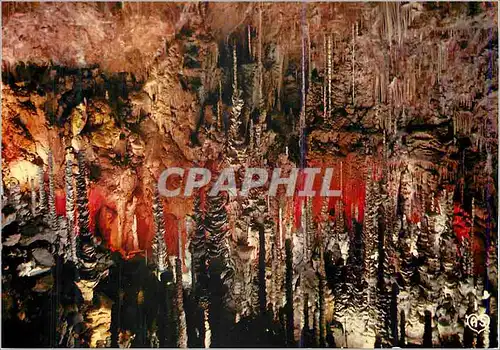 Cartes postales moderne En Parcourant les Gorges du Tarn Grotte de l'Aven Armand Vue d'Ensemble