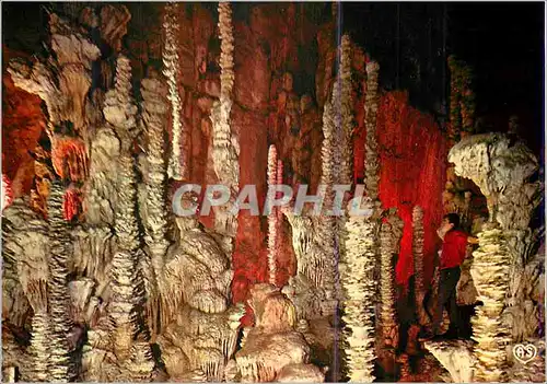 Cartes postales moderne En Parcourant les Gorges du Tarn Grotte de l'Aven Armand Groupe de Stalagmites dans la Foret Vie