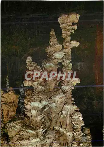 Cartes postales moderne En Parcourant les Gorges du Tarn Grotte de l'Aven Armand La Gueule du Tigre