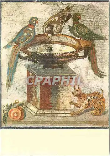 Cartes postales moderne Napoli Museo Nazionale Coupe avec Perroquets et Colombe