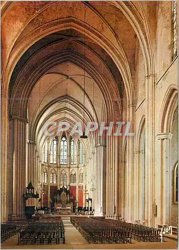 Cartes postales moderne Montpellier (Herault) la Nef de la Cathedrale Saint Pierre Couleurs et Lumiere de France