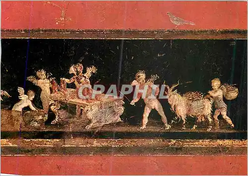 Moderne Karte Pompei Fouilles Maison des Vettis Amours Fleuristes