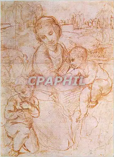 Cartes postales moderne Madonna and Child with St John by Raphael (Raffaelo Santi) (1483 1520) Reproduced by courtesy of