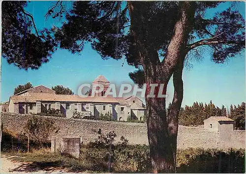 Cartes postales moderne Saint Remy de Provence (Bouches du Rhone) Le Cloitre Saint Paul de Mausole