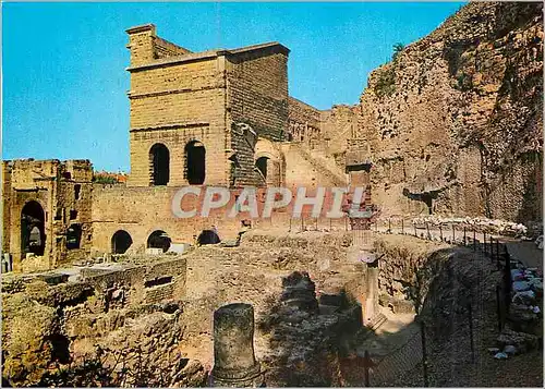 Cartes postales moderne Orange le Gymnase