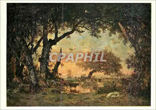 Cartes postales moderne Musee du Louvre Theodore Rousseau (1812 1867) Sortie de foret a Fontainebleau