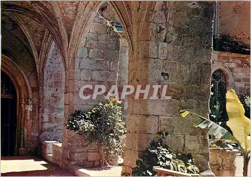 Cartes postales moderne Lodeve Une partie du Cloitre de la Cathedrale Saint Fulcran
