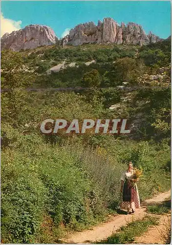 Cartes postales moderne Les Belles Images du Comtat Les Dentelles de Montmirail