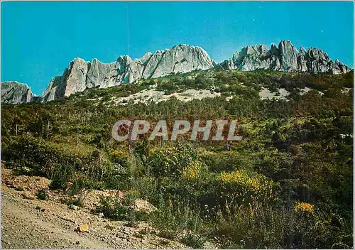 Cartes postales moderne Les Belles Images de Provence Les Dentelles de Montmirail (Vaucluse)