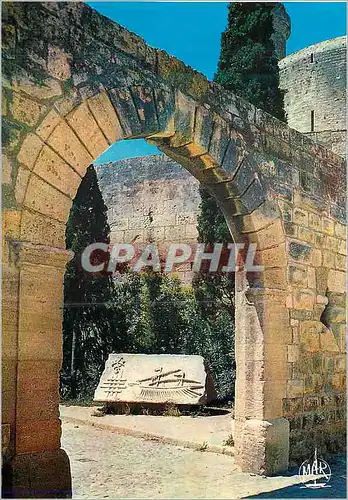 Cartes postales moderne Aigues Mortes De cette Ville Saint Louis Roi de France partit pour les 7eme et 8eme Croisade (12
