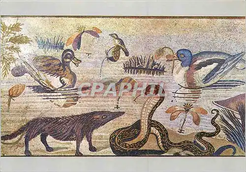 Moderne Karte Napoli Museo Nazionale Scena nilotica Serpent Canard