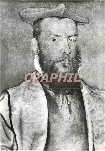 Cartes postales moderne Musee Calvet Avignon Corneille de Lyon (XVIe s) Portrait d'Odet de Coligny cardinal de Chatillon