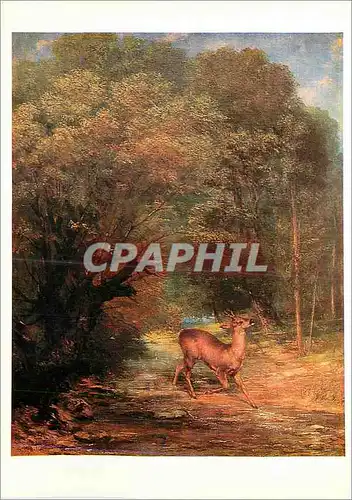 Cartes postales moderne Gustave Courbel le Chevreuil chasse aux ecoutes (1867) Musee du Louvre