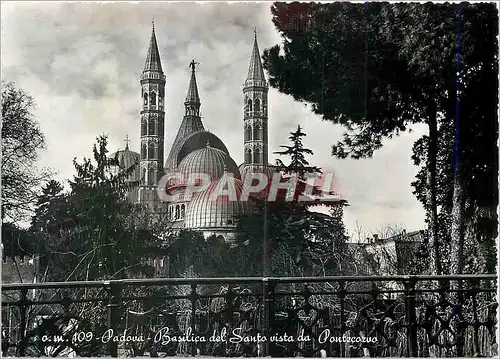 Cartes postales moderne Padova Basilica del Santo vista vista da Pontecorvo