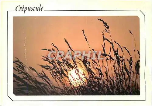 Cartes postales moderne Crepuscule