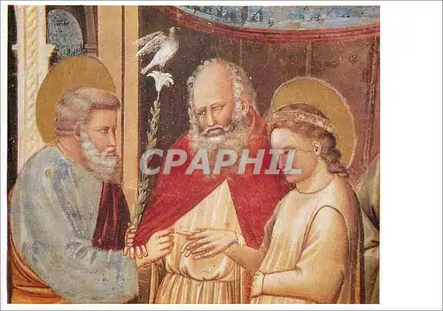 Cartes postales Giotto Cappella deglt Scrovegni Le sposalizio di Maria (particolare)