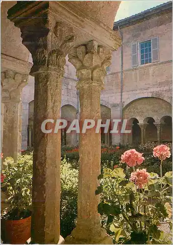 Cartes postales moderne Saint Remy de Provence (Bouches du Rhone) le Cloitre Saint Paul de Mausole