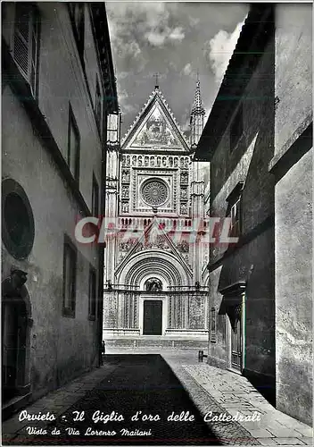 Cartes postales moderne Orvieto Le Lis d'or des Cathedrales vu de la rue Lorenzo Maitani